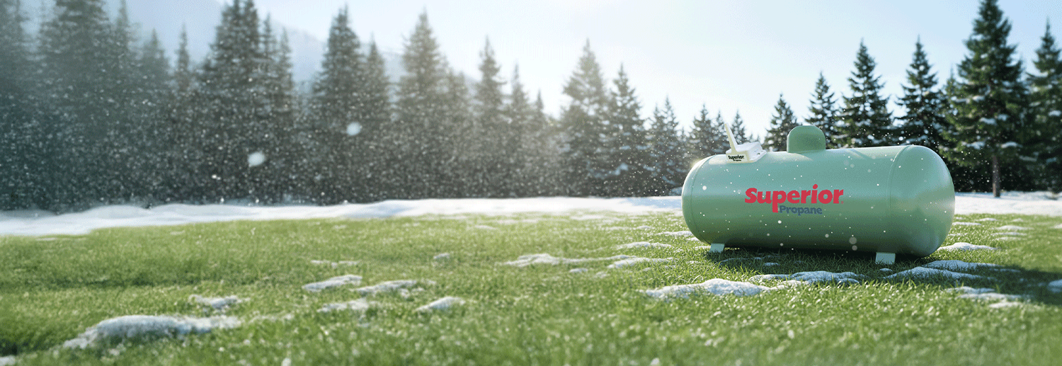 tarification du carbone