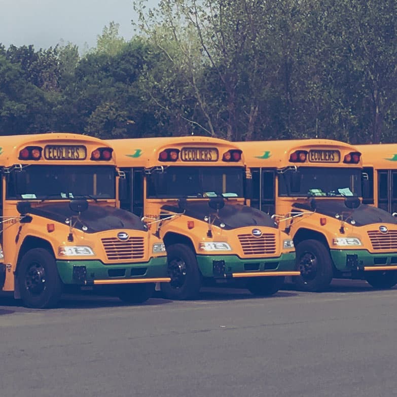 Des autobus scolaires jaunes stationnés les uns à côté des autres.