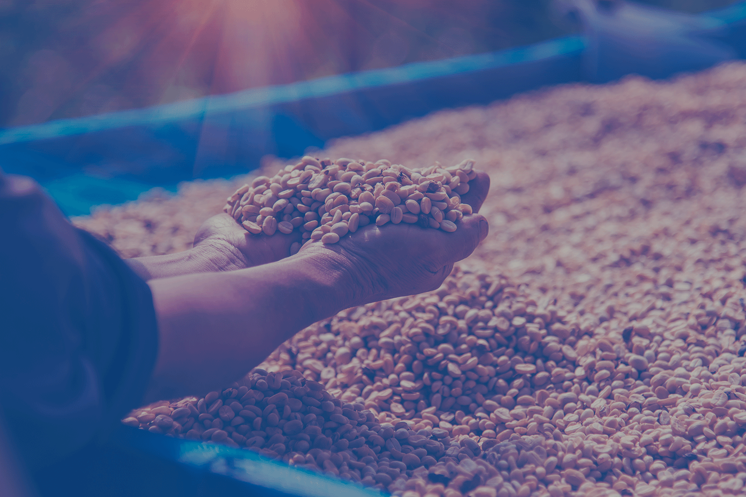 séchoirs à grains au propane