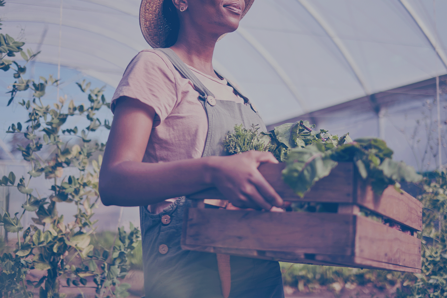 serre alimentée au propane