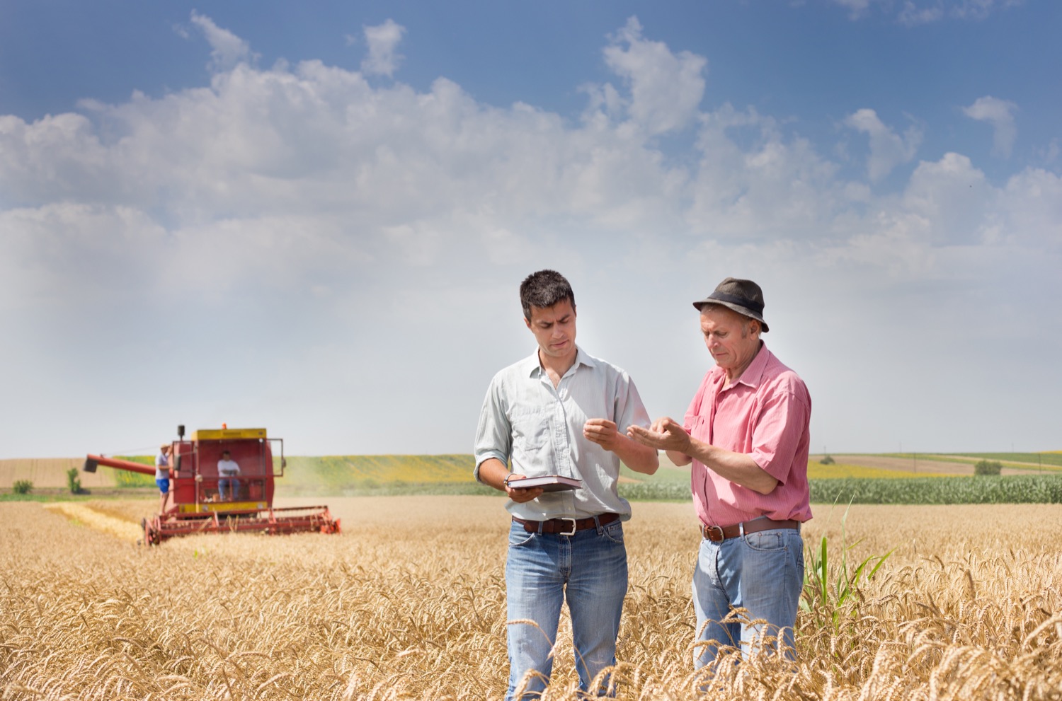 Deux agriculteurs sont debout dans un champ de céréales et tiennent des tiges de grains. On voit une moissonneuse-batteuse à l’arrière-plan.